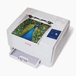 טונר למדפסת Xerox Phaser 6110