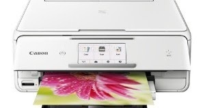 דיו למדפסת Canon PIXMA TS8051